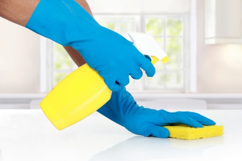 Cleaning team preparing a residential property for service