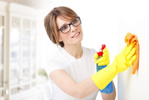 Technician performing oven cleaning in Stockwell