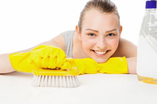 Professional sofa cleaning in a Stockwell living room