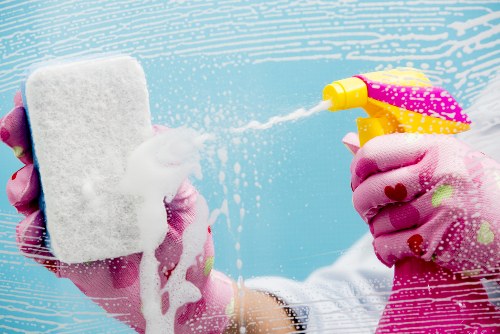 Eco-friendly cleaners in Stockwell providing professional service