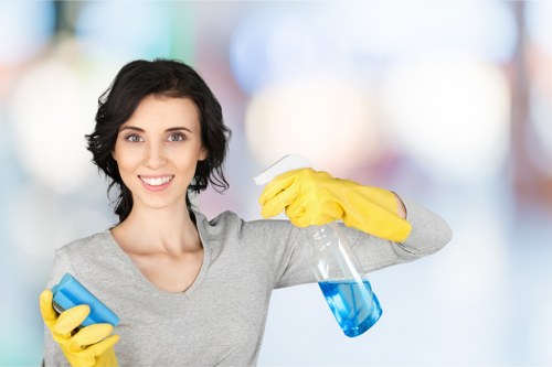 Domestic cleaners in Stockwell refreshing a kitchen and living area