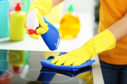 Thorough house cleaning in Stockwell for kitchen and surfaces