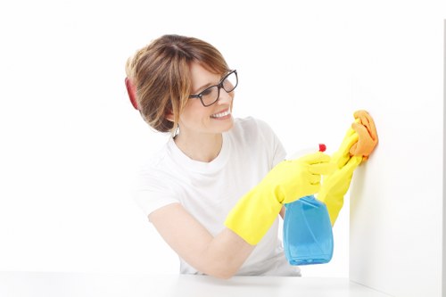 Deep cleaning tools used by a Stockwell cleaning service
