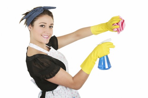 Cleaner working with supplies during a routine service
