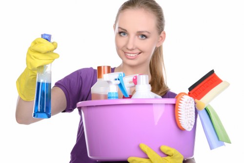 Window cleaning equipment used for Stockwell properties