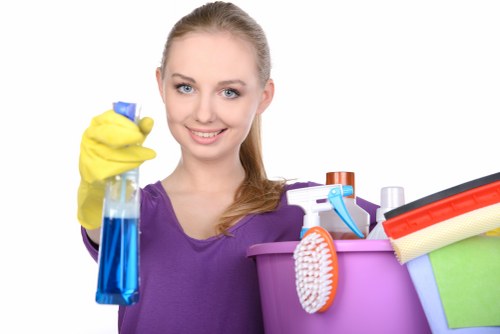 Eco-friendly home cleaning service in Stockwell