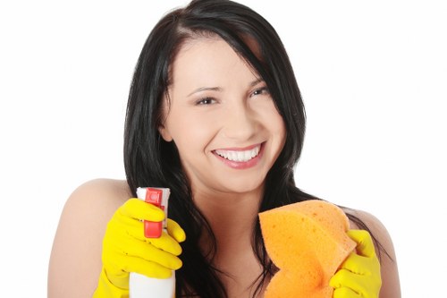 Stain removal and carpet care in a Stockwell living room